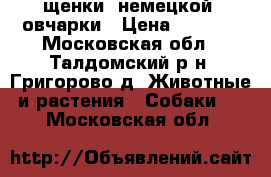 щенки  немецкой  овчарки › Цена ­ 6 000 - Московская обл., Талдомский р-н, Григорово д. Животные и растения » Собаки   . Московская обл.